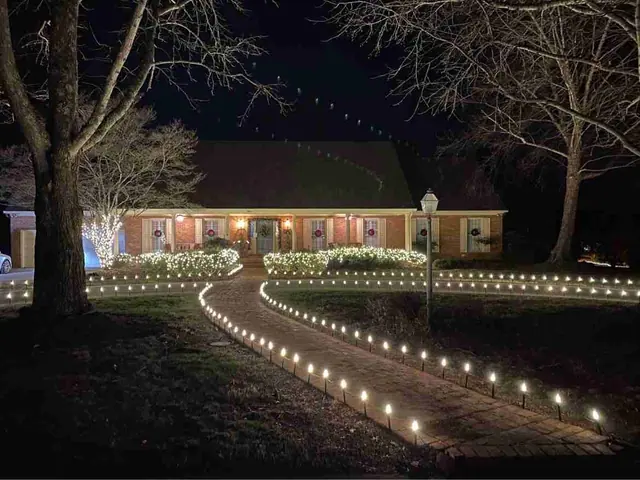 Pathway illuminated with beautiful Christmas lights